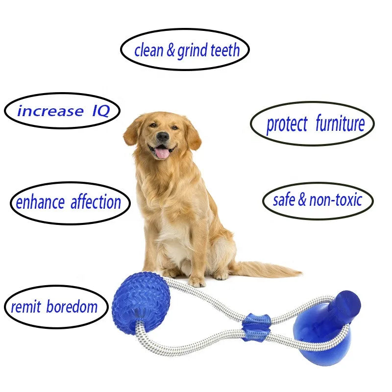 Pet Toys for Small Dogs, Rubber Dog Toy,  Chewing Toy with Suction Cup