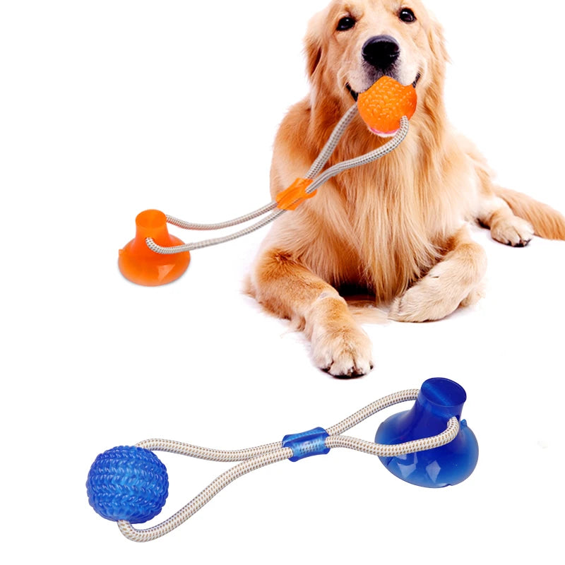 Pet Toys for Small Dogs, Rubber Dog Toy,  Chewing Toy with Suction Cup