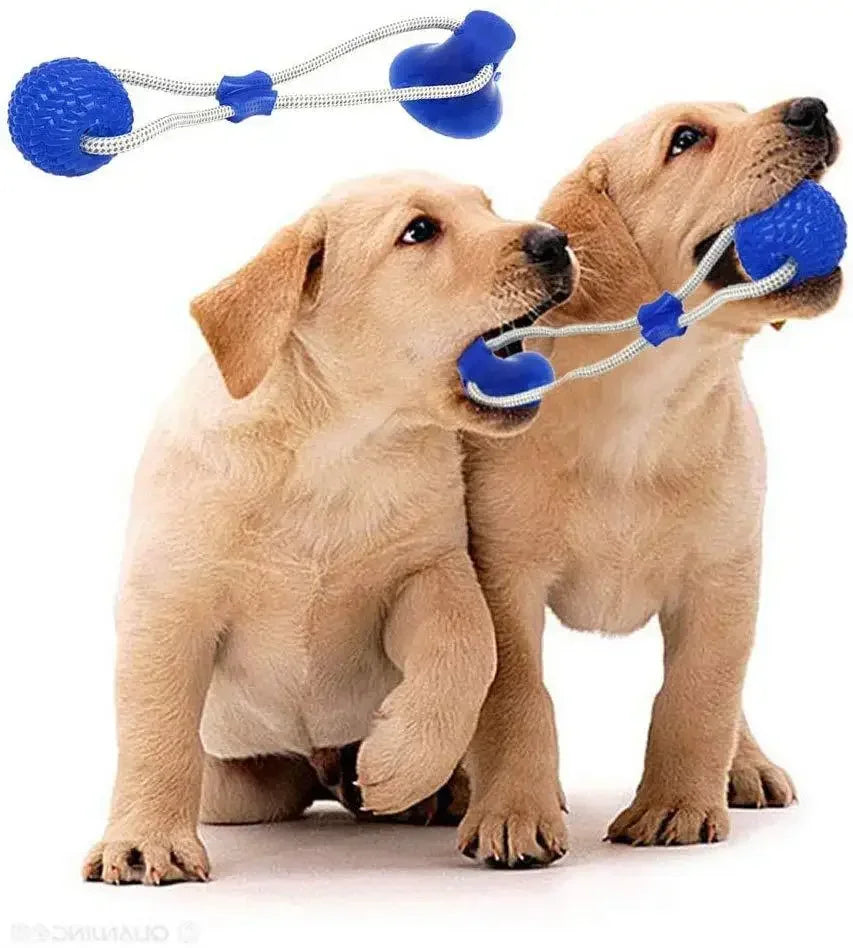 Pet Toys for Small Dogs, Rubber Dog Toy,  Chewing Toy with Suction Cup