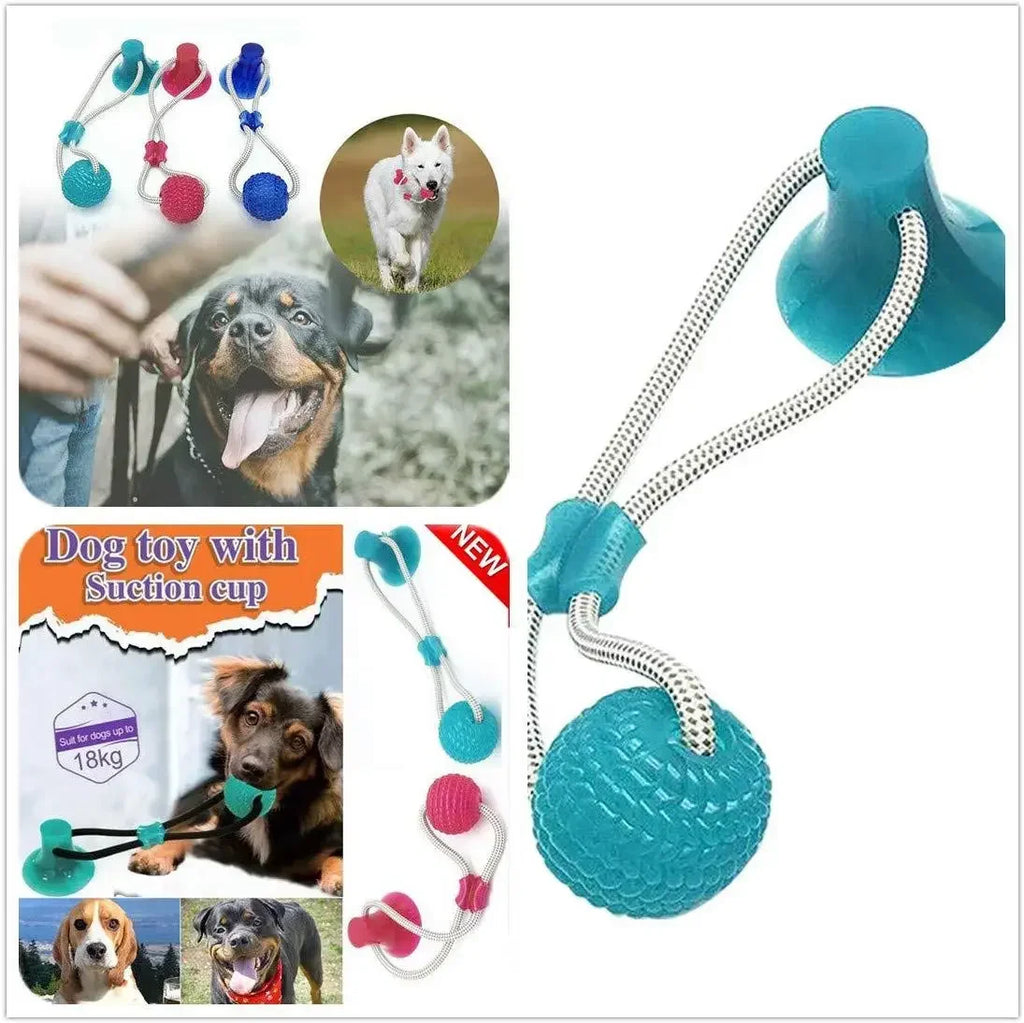 Pet Toys for Small Dogs, Rubber Dog Toy,  Chewing Toy with Suction Cup