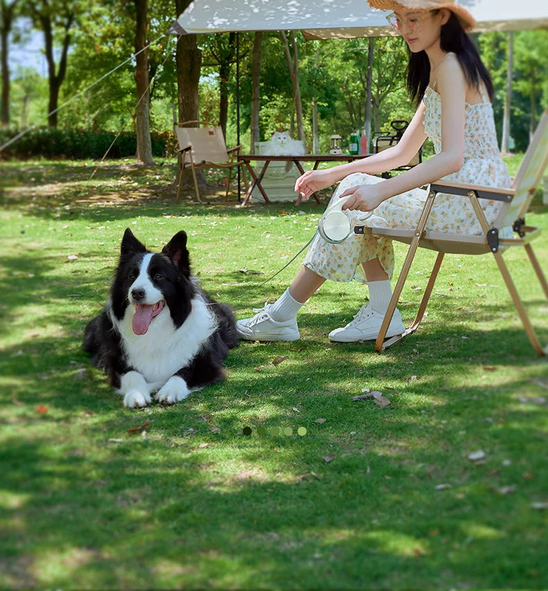 Pet Leash Automatic Telescopic Tractor Dog