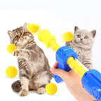 pet Toys Launch Training Interactive Shooter