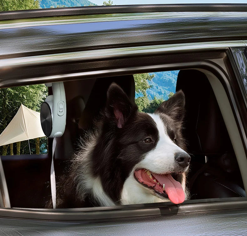 Pet Leash Automatic Telescopic Tractor Dog