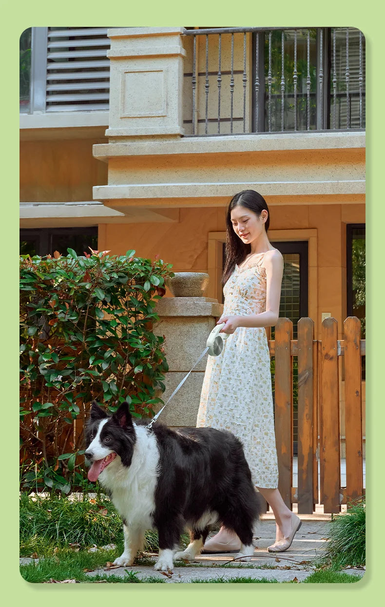 Pet Leash Automatic Telescopic Tractor Dog