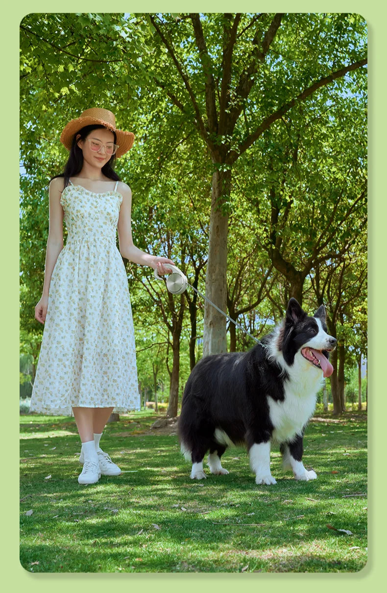 Pet Leash Automatic Telescopic Tractor Dog