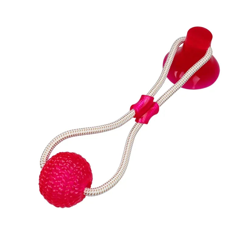 Pet Toys for Small Dogs, Rubber Dog Toy,  Chewing Toy with Suction Cup