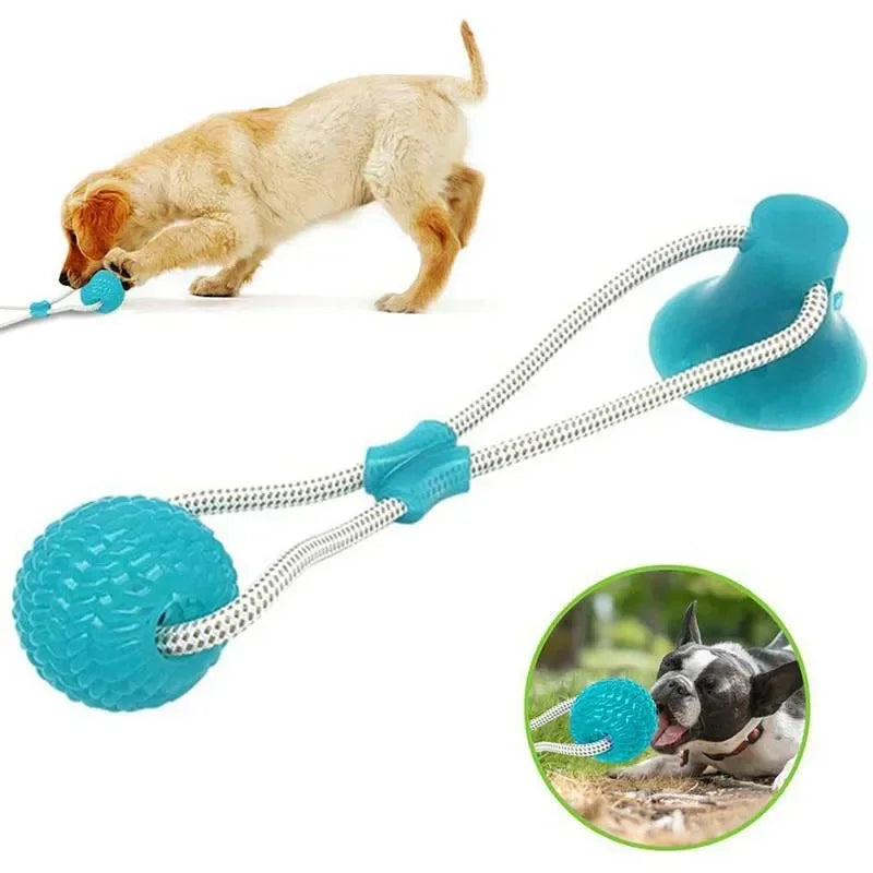 Pet Toys for Small Dogs, Rubber Dog Toy,  Chewing Toy with Suction Cup